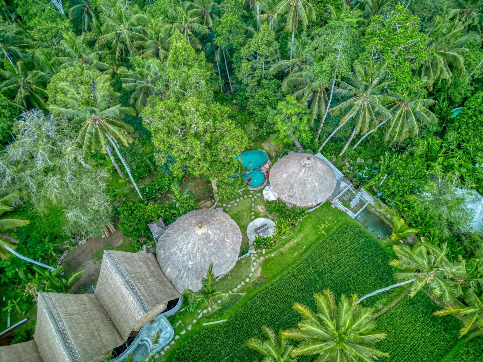 Bamboo Cabin Sanctuary By Nusantara Hospitality ウブド エクステリア 写真